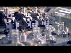 Hoshine Joy Glasflaschen Produktionslinie